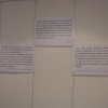 ausstellung_sabine_lauer