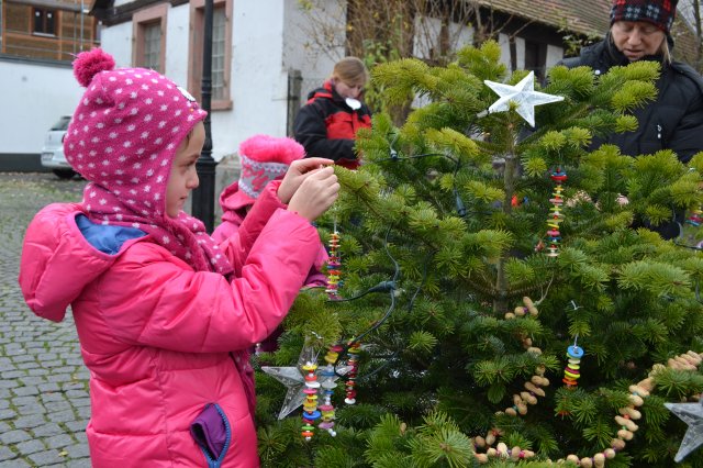 Weihnachtsbäume