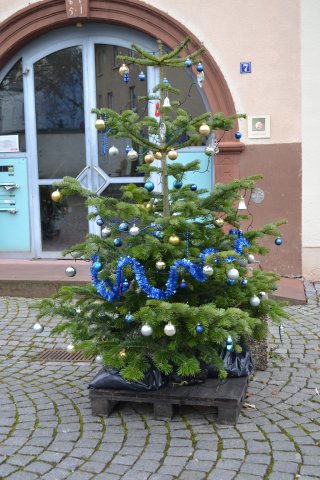 Weihnachtsbäume