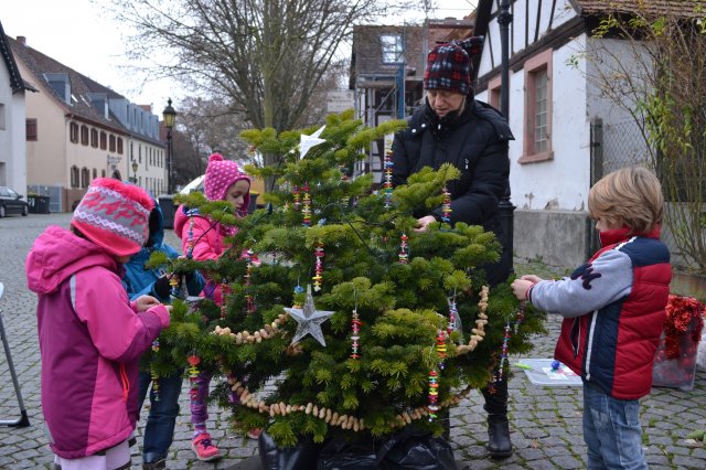 Weihnachtsbäume