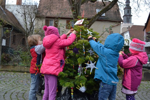 Weihnachtsbäume