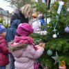 Weihnachtsbäume
