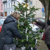Weihnachtsbäume