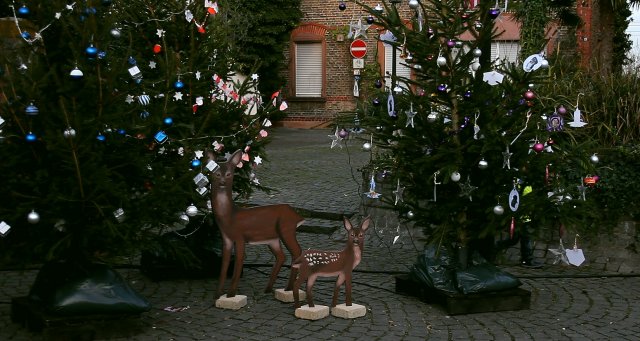 bilder-weihnachtsmarkt2015_03